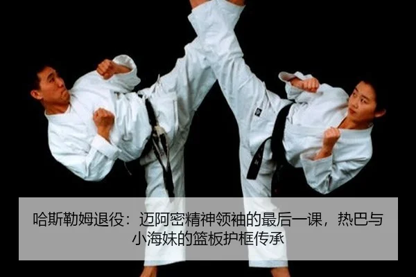 ha-si-lei-mu-tui-yi-mai-a-mi-jing-shen-ling-xiu-de-zui-hou-yi-ke-re-ba-yu-xiao-hai-mei-de-lan-ban-hu-kuang-chuan-cheng-2-706.jpg